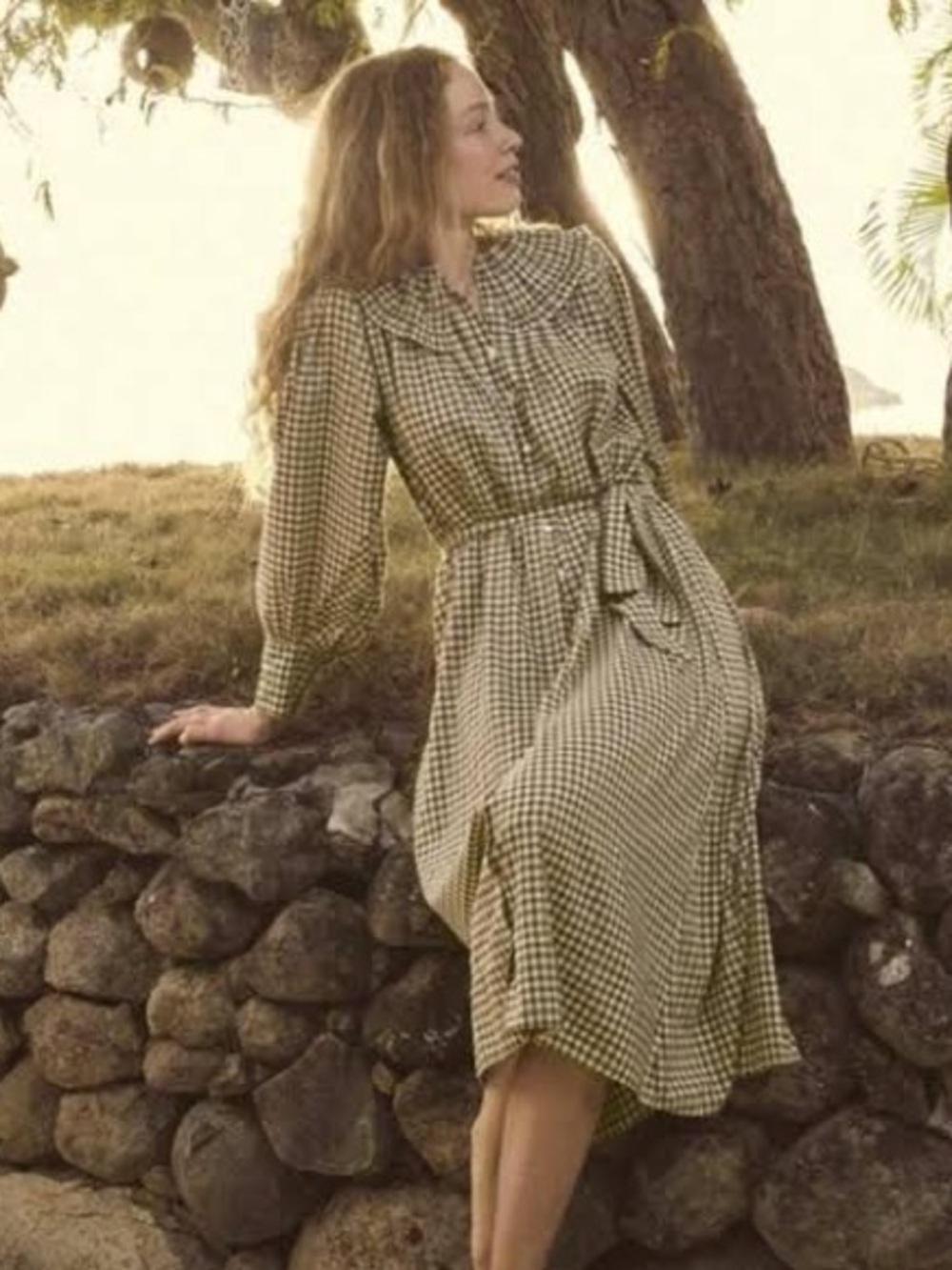 Doen Olive and Cream Gingham Ruffle-Collar Long Sleeve Dress